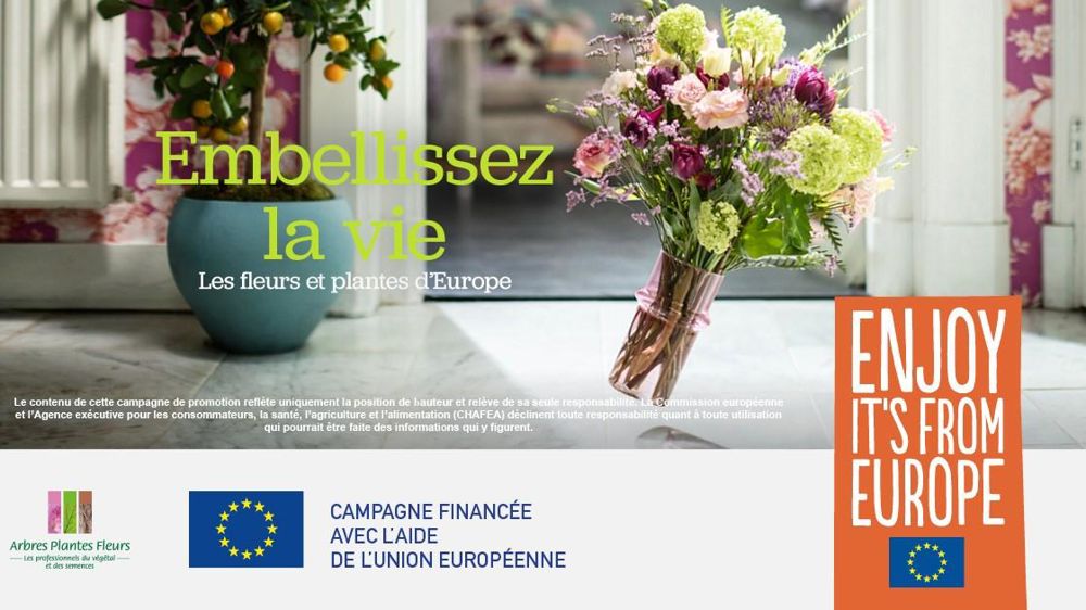 Trois posters en formats paysage ou portrait, trois photos en trois résolutions et un spot vidéo de 20 secondes sont téléchargeables pour relayer la campagne européenne « Embellissez la vie ». ©Val’hor Trois posters en formats paysage ou portrait, trois photos en trois résolutions et un spot vidéo de 20 secondes sont téléchargeables pour relayer la campagne européenne « Embellissez la vie ». ©Val’hor